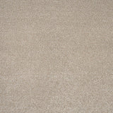 Urban Chic 07 Stainfree Rustique Saxony Carpet by Abingdon