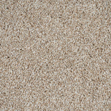 Urban Chic 07 Stainfree Rustique Saxony Carpet by Abingdon