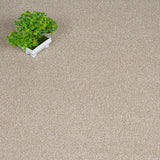Urban Chic 07 Stainfree Rustique Saxony Carpet by Abingdon