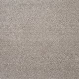 Vanilla 33 Centaurus Invictus Carpet