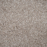 Vanilla 33 Centaurus Invictus Carpet