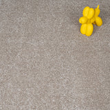 Vanilla 33 Centaurus Invictus Carpet