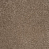 Velvet Taupe Hidden Depths Love Story Carpet by Abingdon