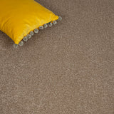 Velvet Taupe Hidden Depths Love Story Carpet by Abingdon