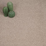 Warm Beige 673 Auckland Twist Carpet