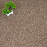Warm Brown Selene Saxony Carpet