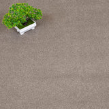 Wheat Beige 91 Verdi Saxony Carpet