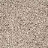 Wheat Mist Stainfree Knightsbridge Berber Carpet by Abingdon
