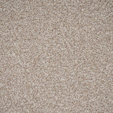 Wheat Stainfree Rustique Ultra Carpet by Abingdon