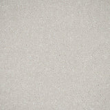 White Whisper Stainfree Ultra Carpet by Abingdon