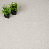White Whisper Stainfree Ultra Carpet by Abingdon