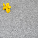 Wispy Skies 06 Stainaway Harvest Heathers Deluxe Carpet