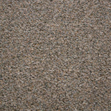 Ash 140 Dublin Heathers Carpet