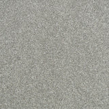Stardust Stainfree Royale Carpet