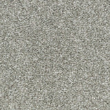 Stardust Stainfree Royale Carpet