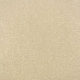 Linen Stainfree Royale Carpet