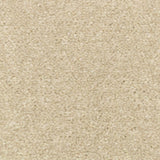 Linen Stainfree Royale Carpet