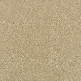 Country Beige Stainfree Royale Carpet