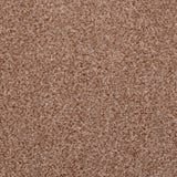 Biscuit 918 Dublin Heathers Carpet