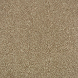 Cashmere Stainfree Majesty Carpet
