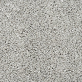 Light Grey Artemis Luxury Saxony Carpet