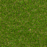 Chanton 27mm Artificial Grass