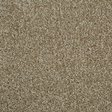 Chiffon 91 Revolution Soft Heathers Intenza Carpet