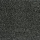 Ebony 99 Splendour iSense Carpet