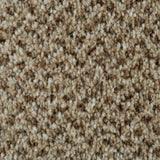 Eddleston 35 Stainaway Tweed Carpet