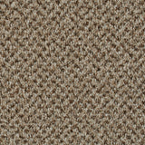 Eddleston 35 Stainaway Tweed Carpet