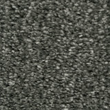 Graphite 274 Revolution Soft Heathers Intenza Carpet
