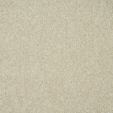 Ivory Cream Missouri Saxony Carpet