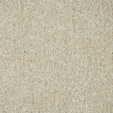 Ivory Cream Missouri Saxony Carpet