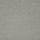 Ivory Grey 73 Emotion Elite Intenza Carpet
