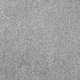 Light Grey Vision Luxury Saxony Actionback Carpet