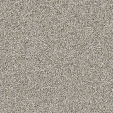 Maine Mist Linwood 40oz Twist Carpet by Cormar