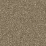 Walmersley Natural Linwood 40oz Twist Carpet by Cormar