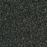 Midnight 78 Oxford Saxony Carpet