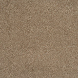 Mocha 933 Imagination Twist Carpet