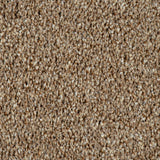 Mocha 933 Imagination Twist Carpet