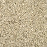 Monterey Sand Sensation Original 60oz Carpet by Cormar