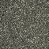 Northern Sky Sensation Original 60oz Carpet by Cormar