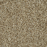 Pebble Beige 32 Temptation Carpet