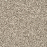 Pebble Beige 71 Emotion Classic Intenza Carpet