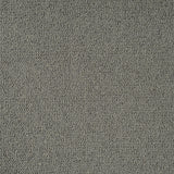 Pewter Grey Illinois Loop Carpet