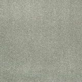 Platinum 274 Oxford Saxony Carpet