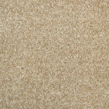 Portland Stone 30 Promenade Carpet