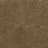 Reed Beige 34 Temptation Carpet