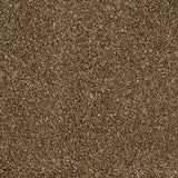 Reed Beige 34 Temptation Carpet
