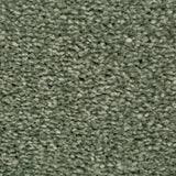Sage 42 Revolution Soft Heathers Intenza Carpet